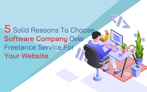 5-solid-reasons-to-choose-software-company-over-freelance-service-for-your-website